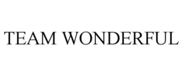 TEAM WONDERFUL