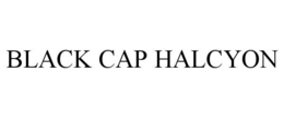 BLACK CAP HALCYON