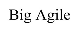 BIG AGILE