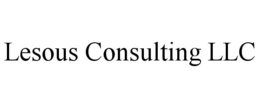 LESOUS CONSULTING LLC