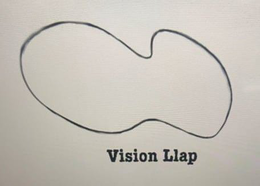 VISION LLAP