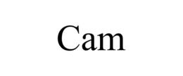 CAM