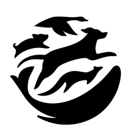 98567376