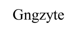 GNGZYTE