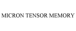 MICRON TENSOR MEMORY