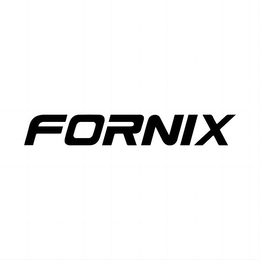 FORNIX