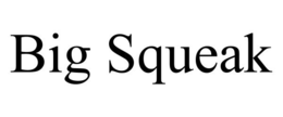 BIG SQUEAK