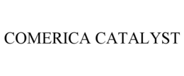 COMERICA CATALYST