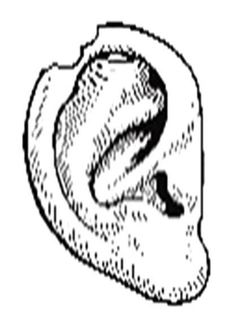 98590877
