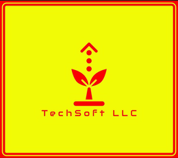 TECHSOFT LLC
