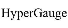 HYPERGAUGE