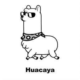 HUACAYA