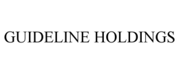 GUIDELINE HOLDINGS