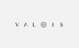 VALOIS V V V V