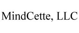 MINDCETTE, LLC