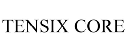 TENSIX CORE