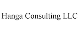 HANGA CONSULTING LLC