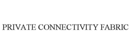 PRIVATE CONNECTIVITY FABRIC