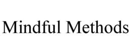 MINDFUL METHODS