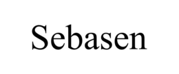 SEBASEN