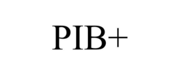 PIB+