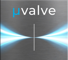 VALVE
