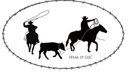 HEAL-IT LLC