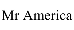 MR AMERICA