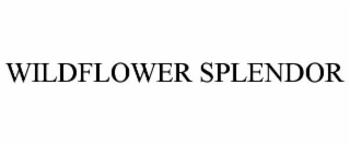 WILDFLOWER SPLENDOR