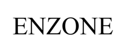 ENZONE