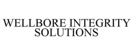 WELLBORE INTEGRITY SOLUTIONS