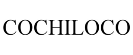 COCHILOCO