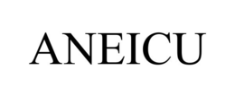 ANEICU