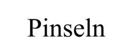 PINSELN