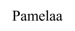 PAMELAA