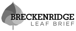 BRECKENRIDGE LEAF BRIEF