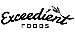 EXCEEDIENT FOODS