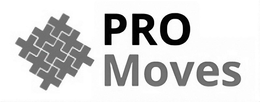 PRO MOVES