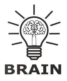 BRAIN
