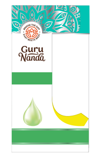GURU NANDA • BRIDGE THE GAP • EAST MEETS WEST