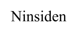 NINSIDEN