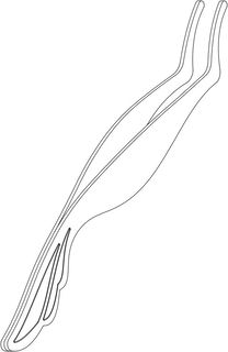 98853023