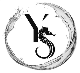 YS