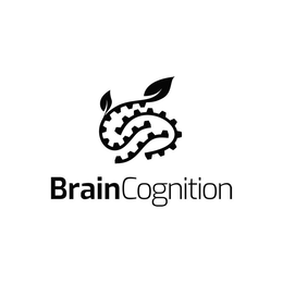 BRAINCOGNITION
