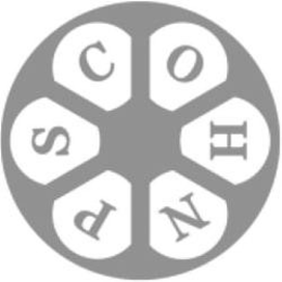 C O H N P S