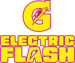 G ELECTRIC FLASH