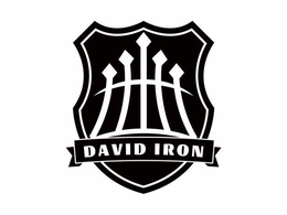 DAVID IRON