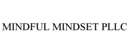 MINDFUL MINDSET PLLC