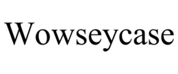 WOWSEYCASE