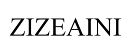 ZIZEAINI